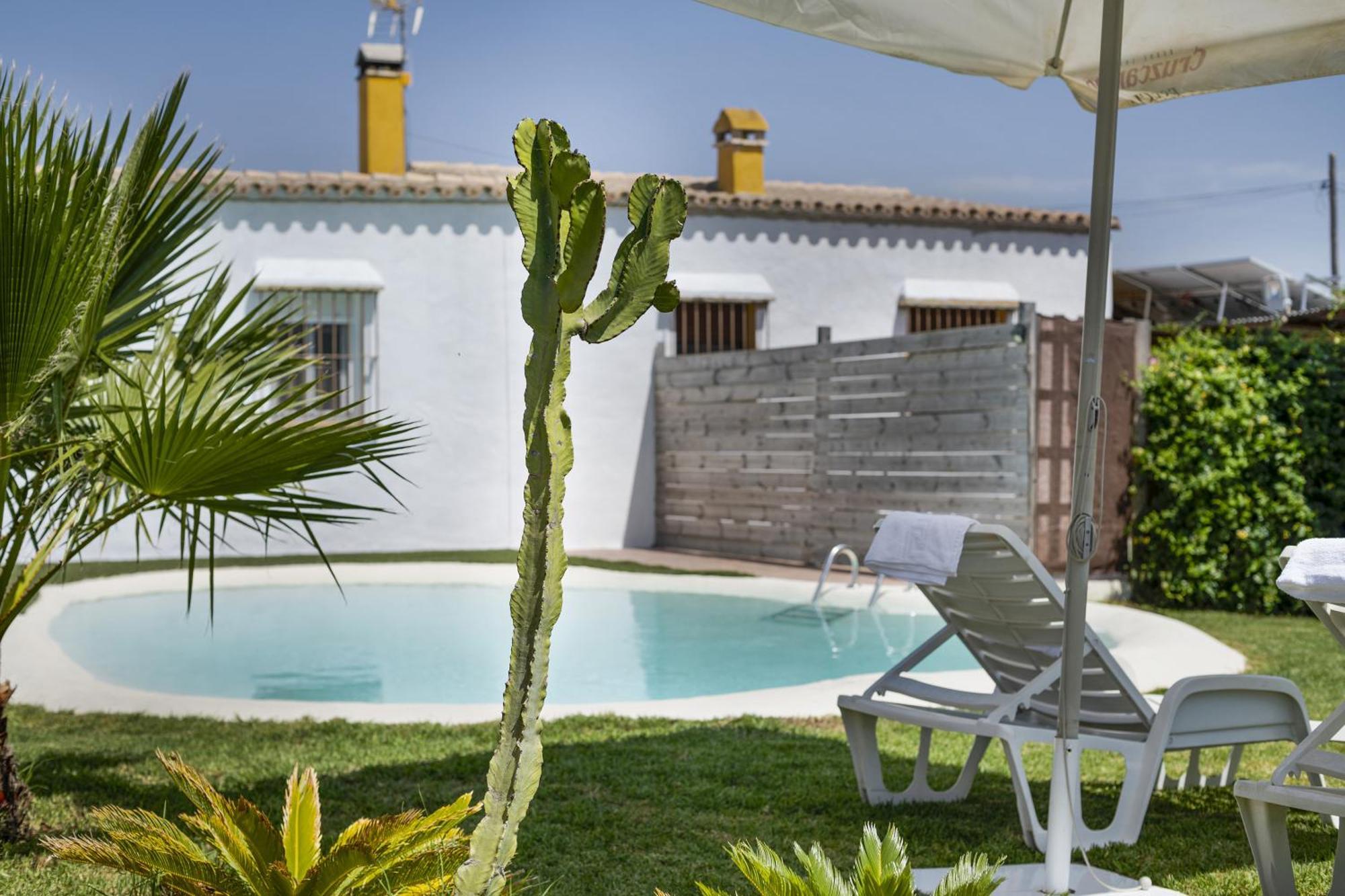 Casa El Mirlo Villa Conil De La Frontera Exteriör bild
